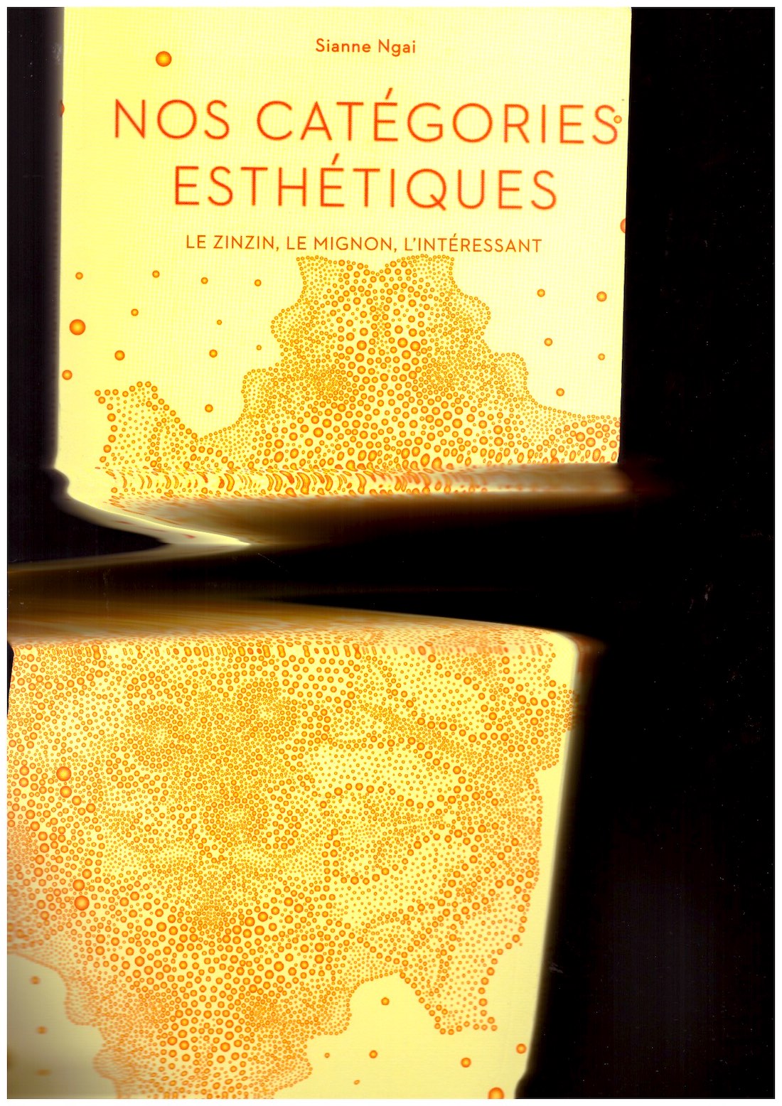NGAI, Sianne - Nos catégories esthétiques. Le zinzin, le mignon, l’intéressant