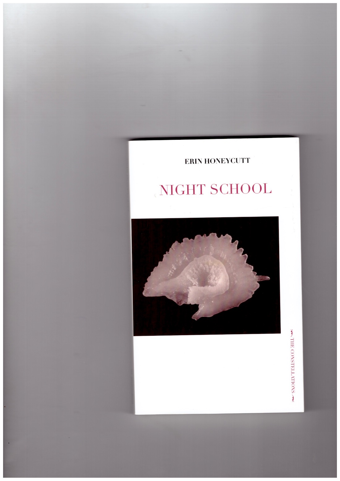 HONEYCUTT, Erin - Night School
