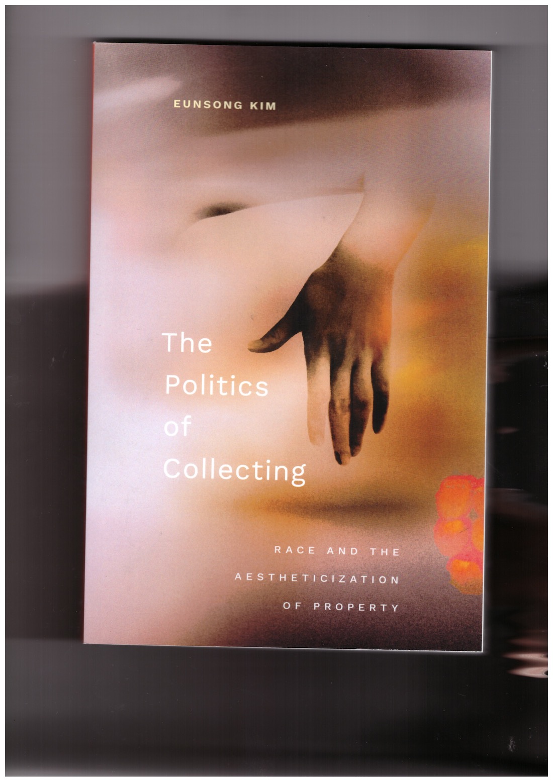 KIM, Eunsong - The Politics of Collecting. Race and the Aestheticization of Property
