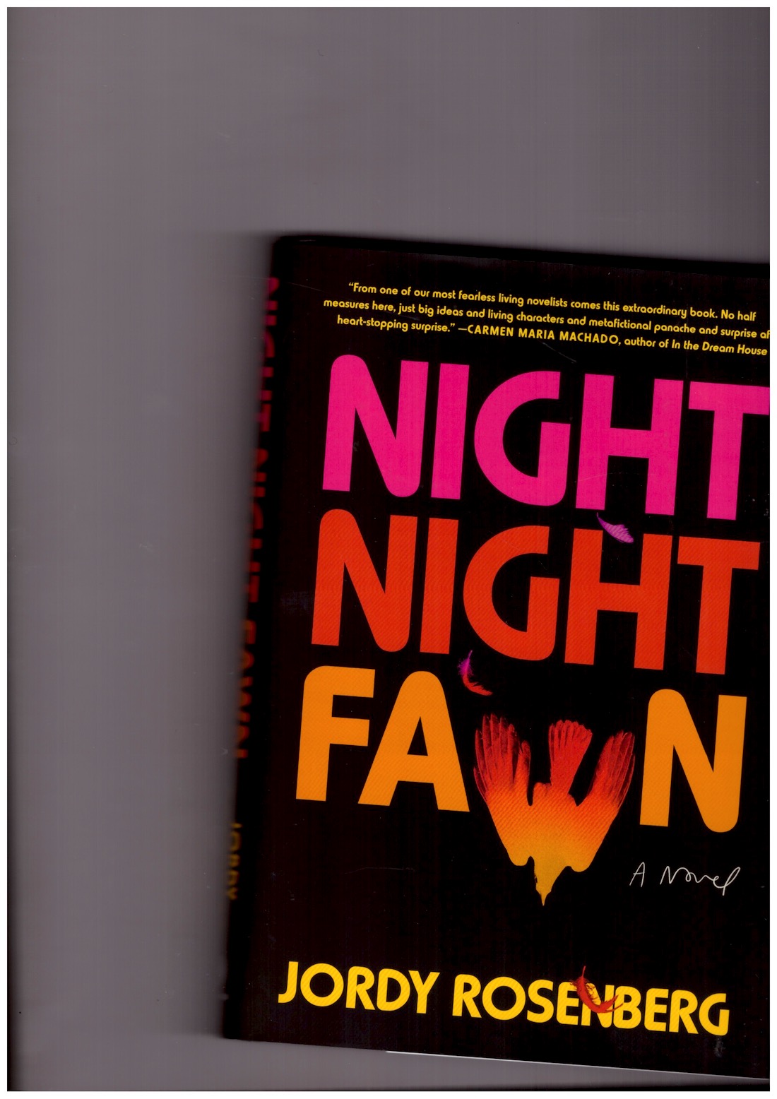 ROSENBERG, Jordy - Night Night Fawn