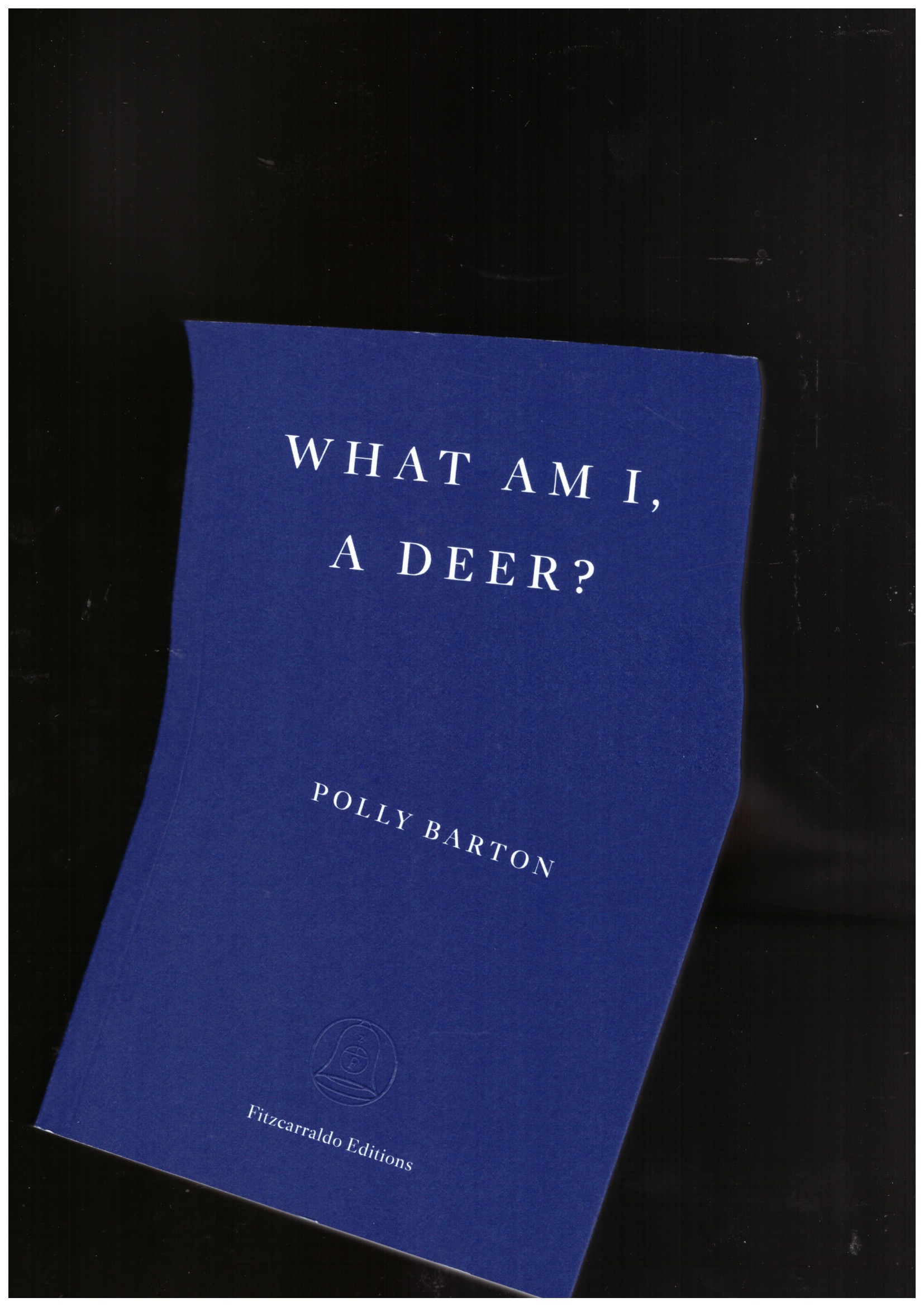 BARTON, Polly - What Am I, A Deer?