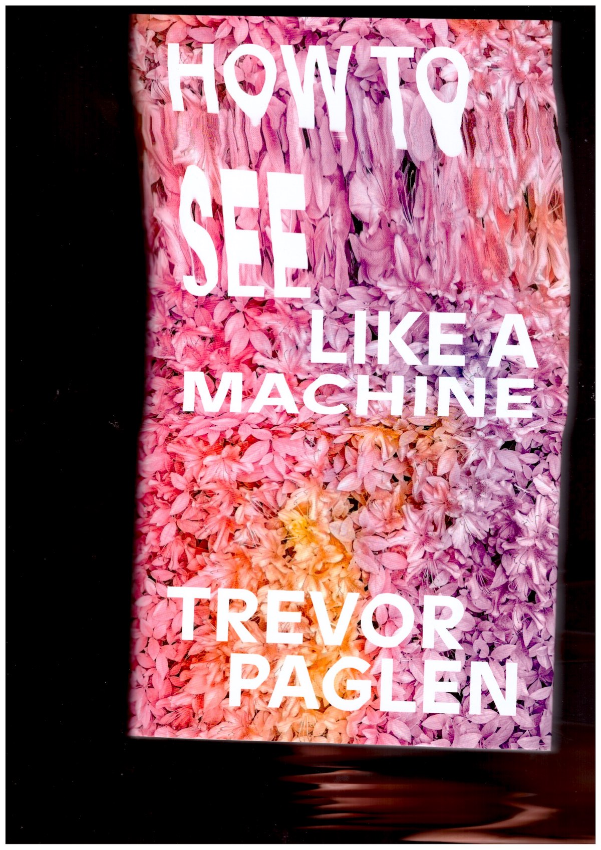 PAGLEN, Trevor - How to See Like a Machine: Images After AI