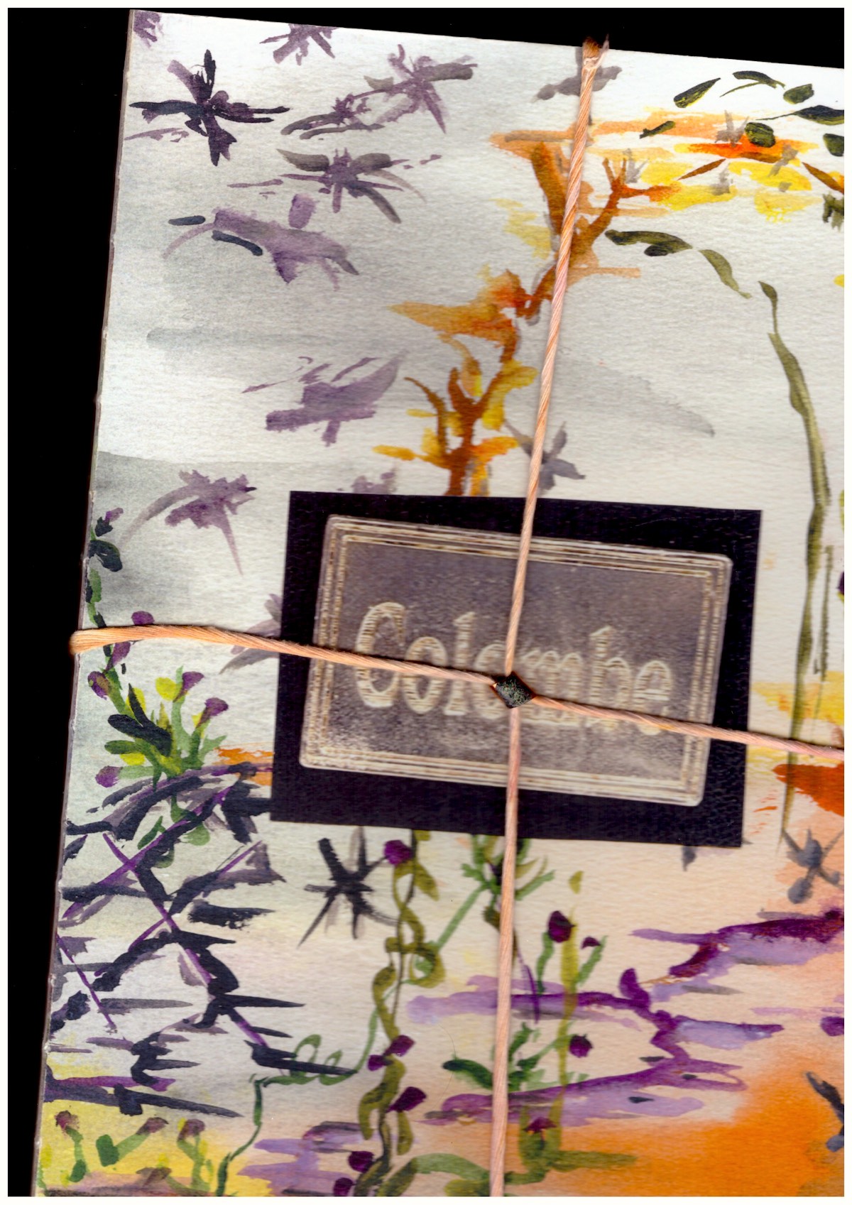 D’HUMIÈRES, Colombe - Scrapbook