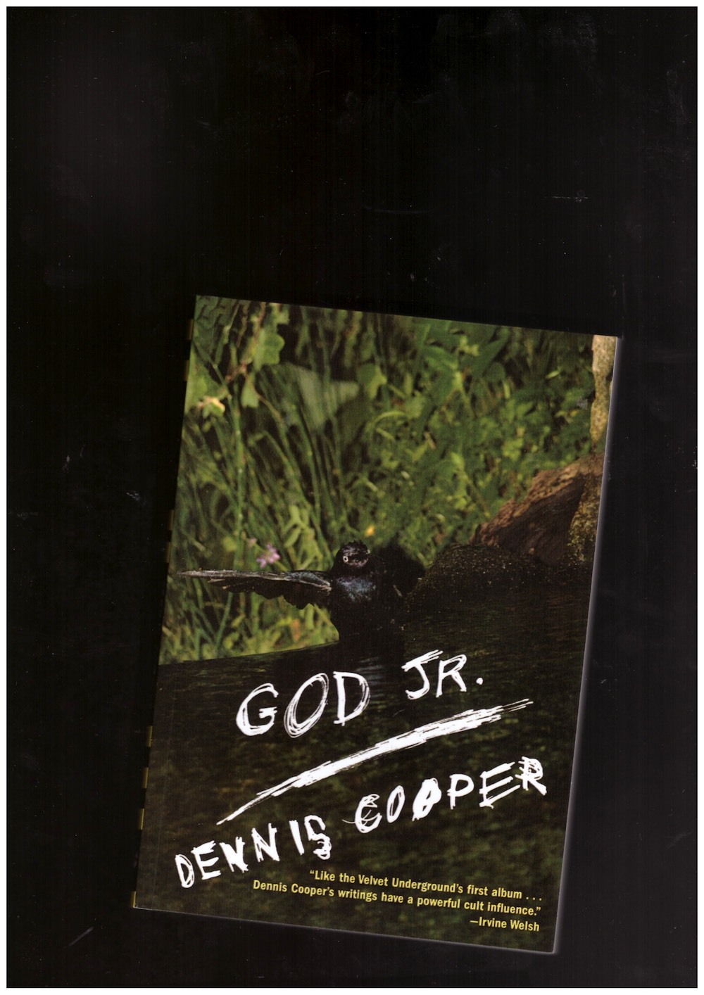 COOPER, Dennis - God Jr.