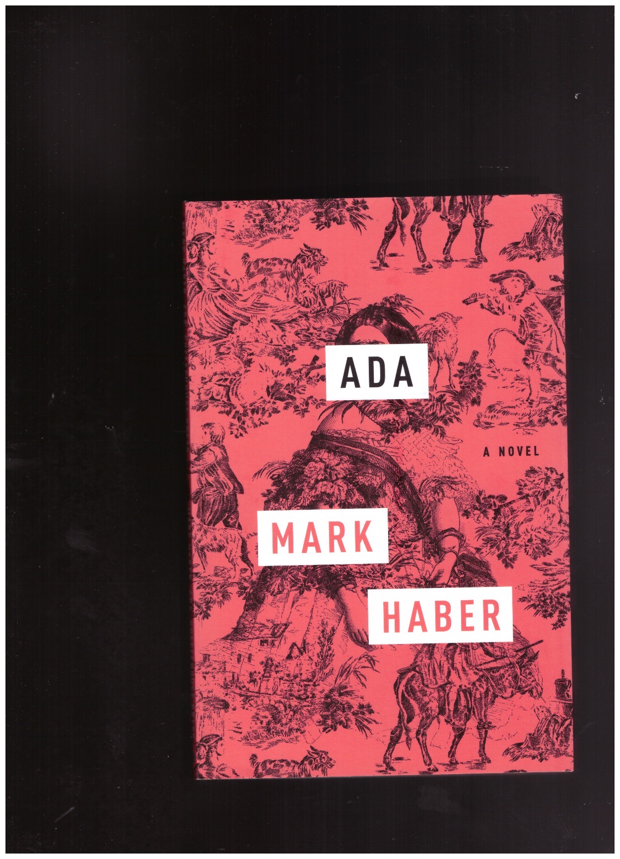 HABER, Mark - Ada