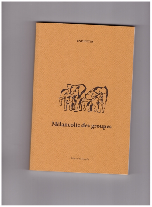 ENDNOTES - Mélancolie des groupes (Editions La Tempête)