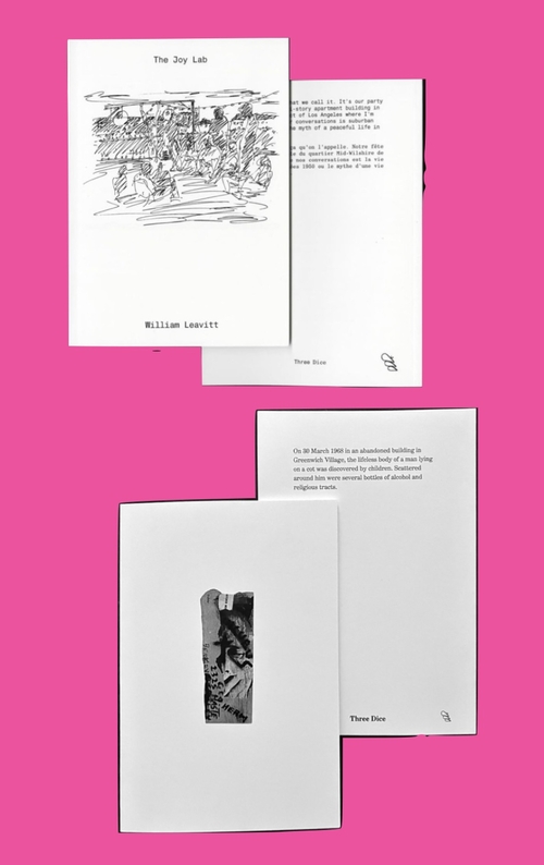 Double Three Dice: William Leavitt ✕ Bobby Driscoll ⇶ présentés par Sophie Vinet, Fiona Vilmer & Ludovic Sauvage