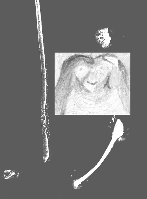 Catalog by Lieven Lahaye