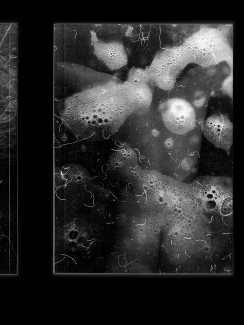 The new Théo Robine-Langlois ist « Crue » 