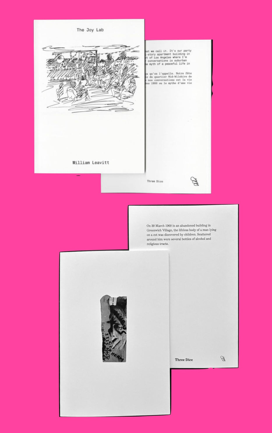 Double Three Dice: William Leavitt ✕ Bobby Driscoll ⇶ présentés par Sophie Vinet, Fiona Vilmer & Ludovic Sauvage