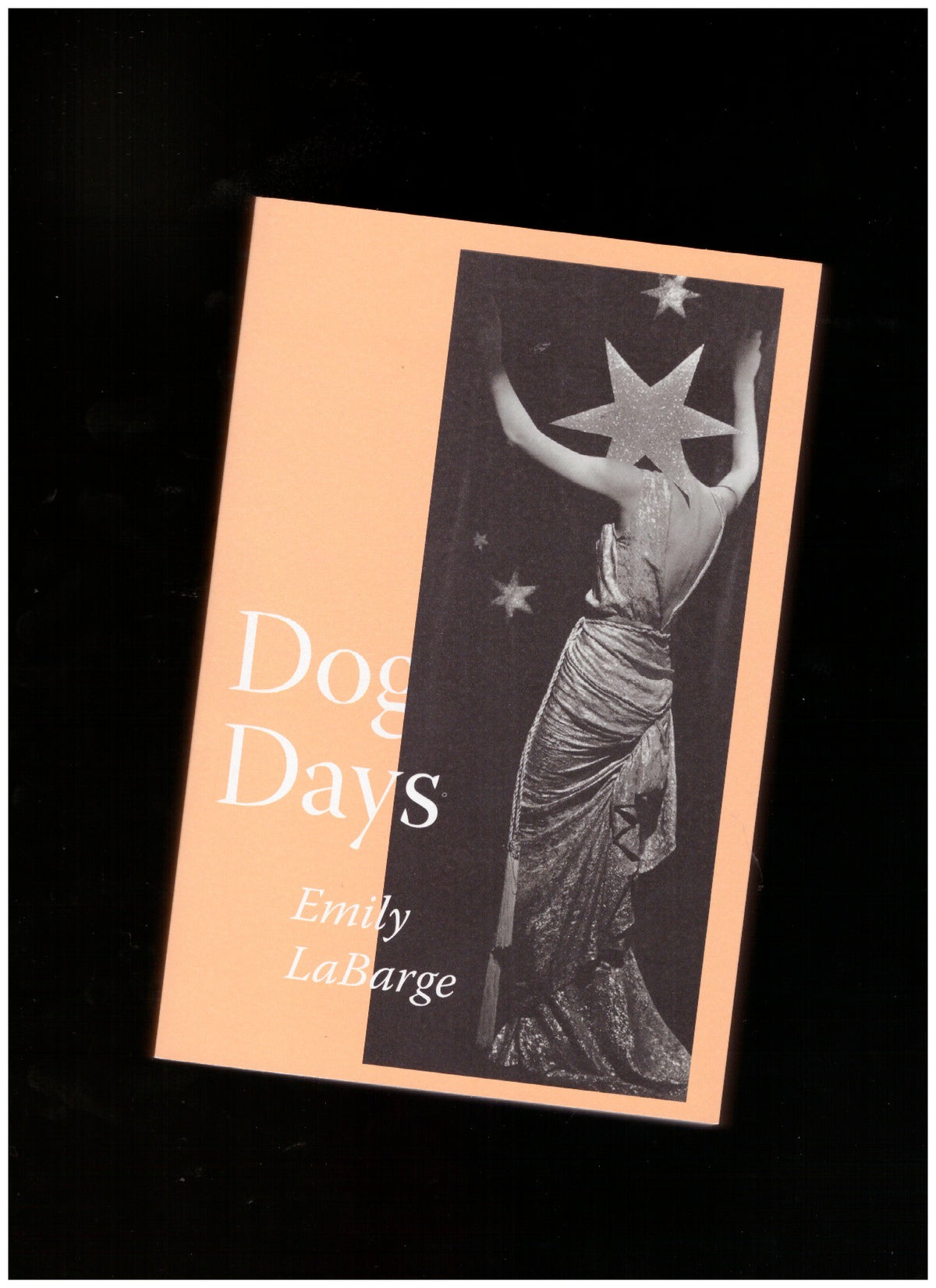 DOG DAYS booklaunch with Emily LaBarge