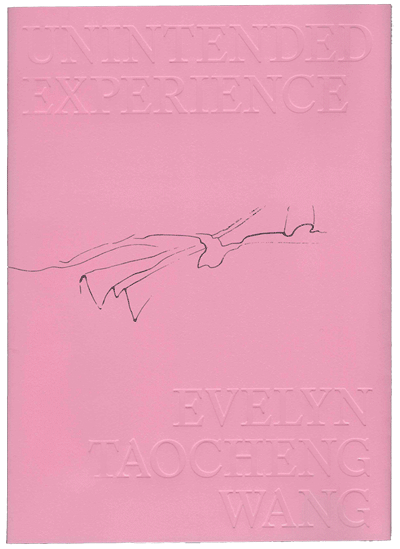 Evelyn Taocheng Wang: Unintended Experience: a job in Amsterdam