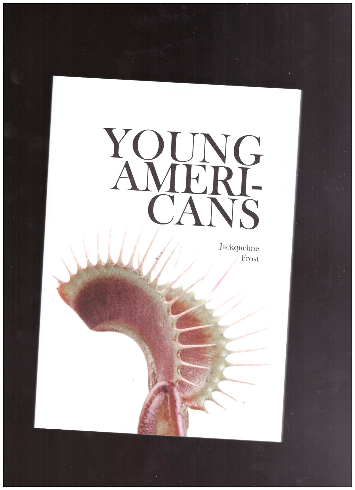 Young Americans by Jackqueline Frost