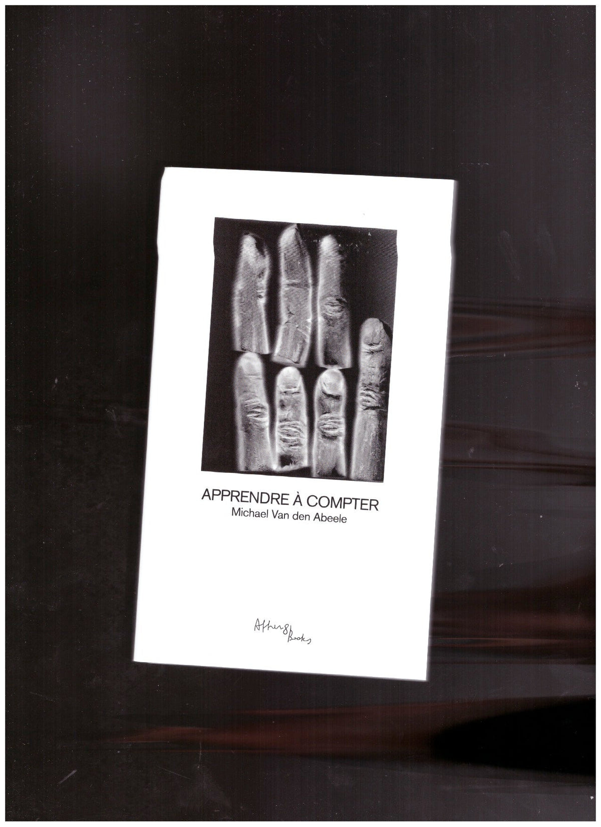 Learning to Count // Apprendre à compter by Michael van den Abeele