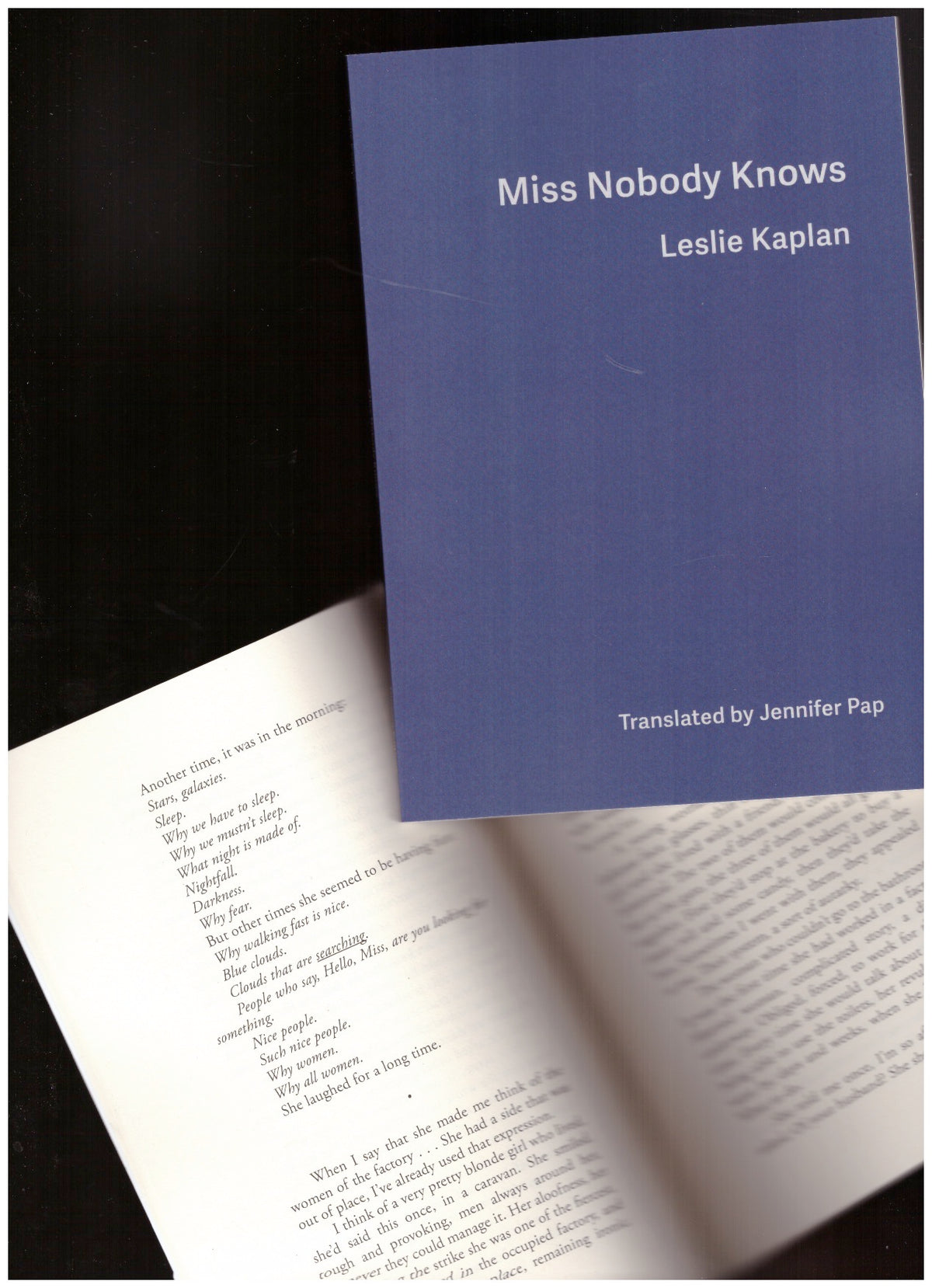 launch : The Book of Skies & Miss Nobody Knows by Leslie Kaplan