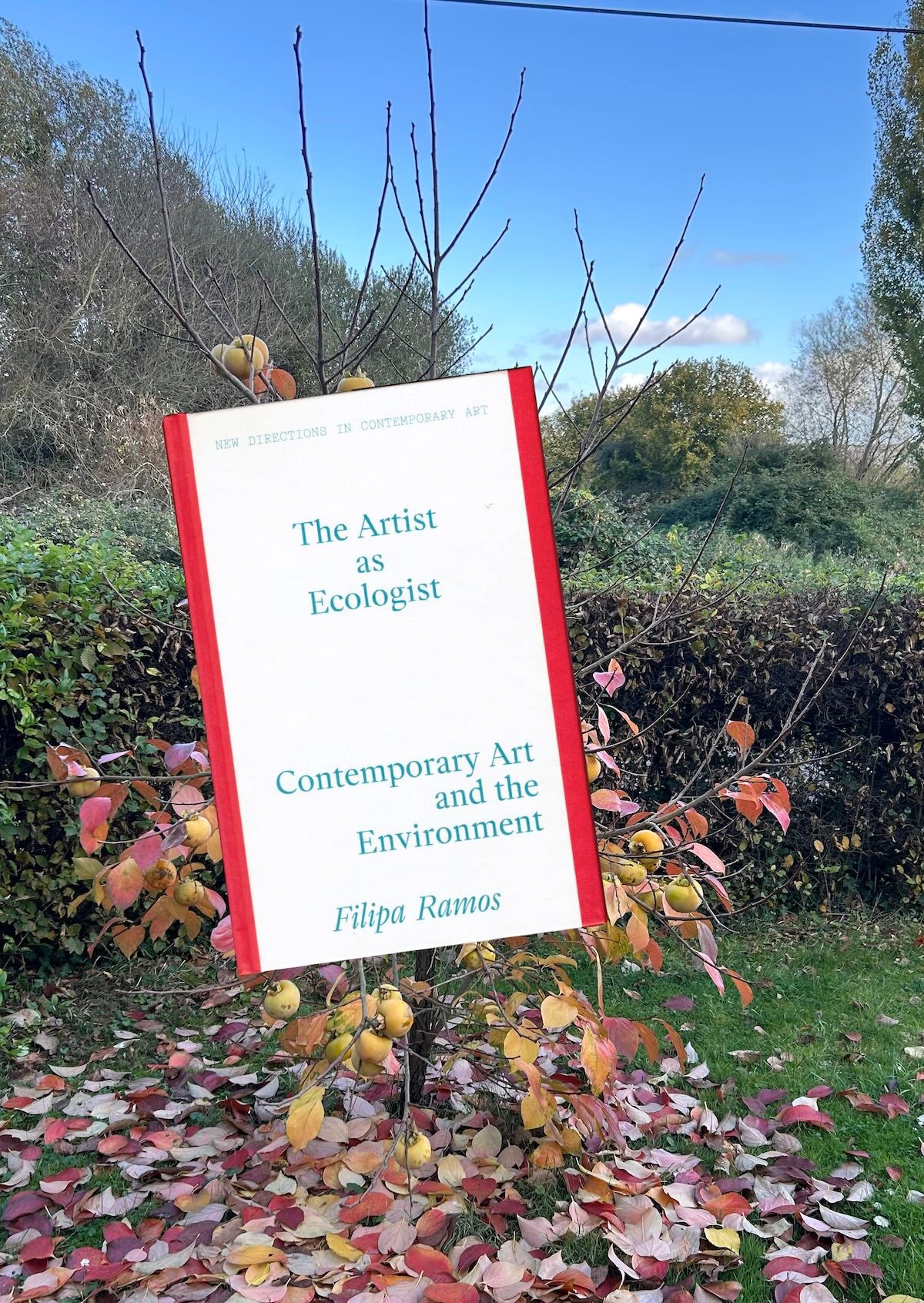 The Artist as Ecologist with Filipa Ramos