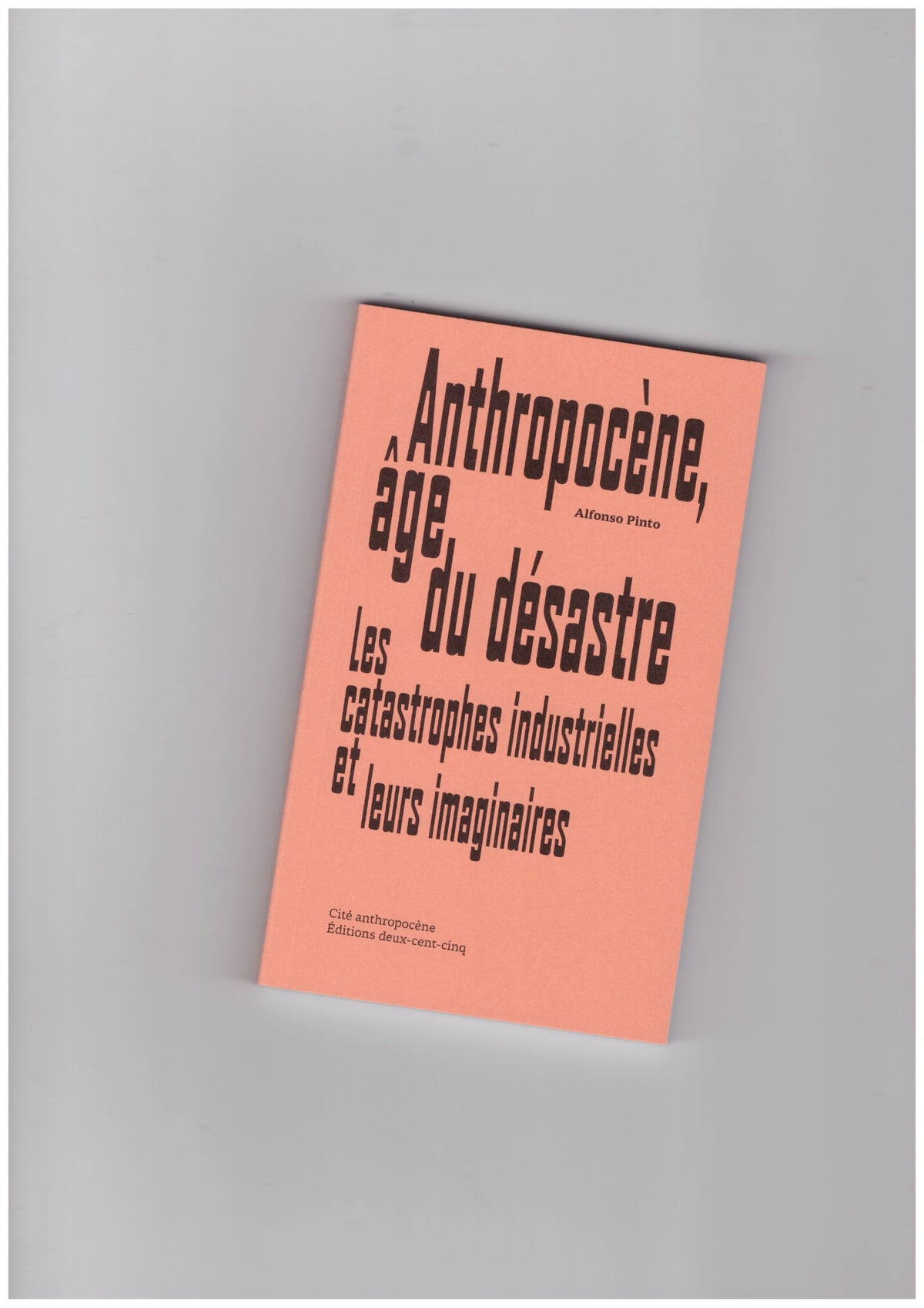 Anthropocène, âge du désastre. Les catastrophes industrielles et leurs imaginaires