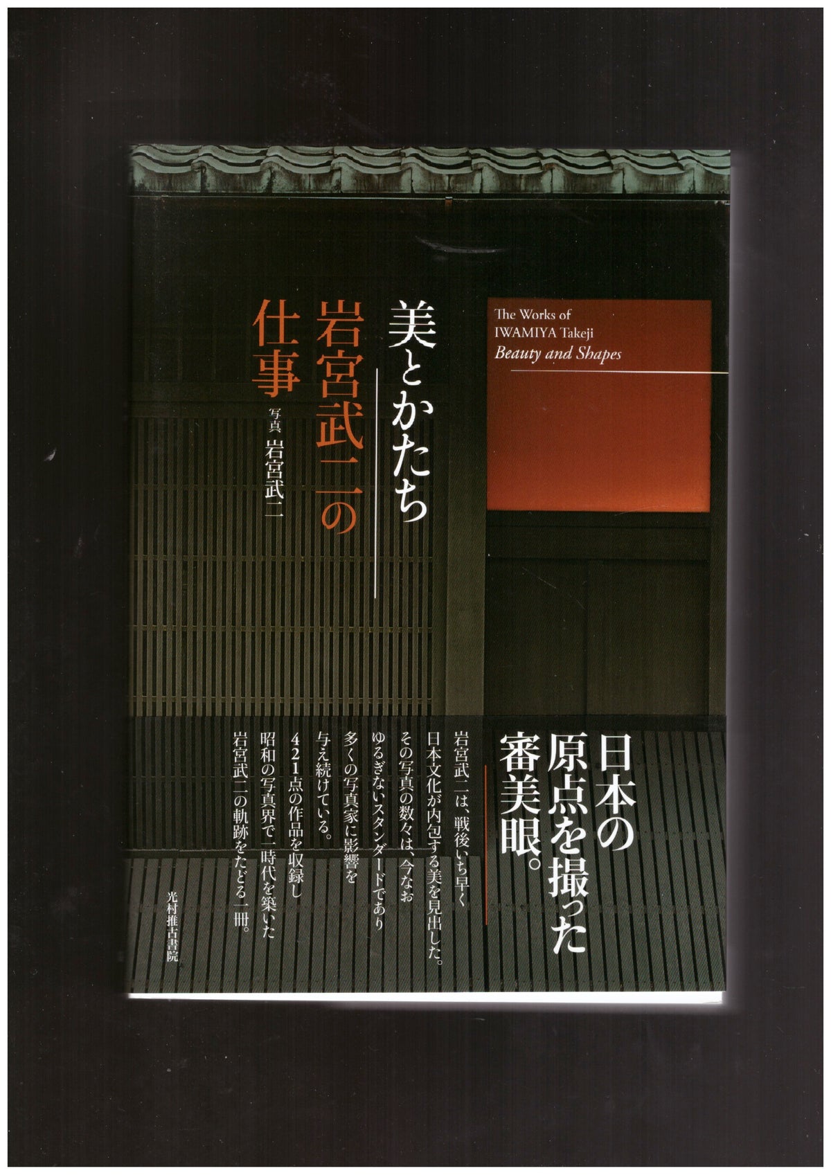 The Works of Iwamiya Takeji: Beauty and Shapes