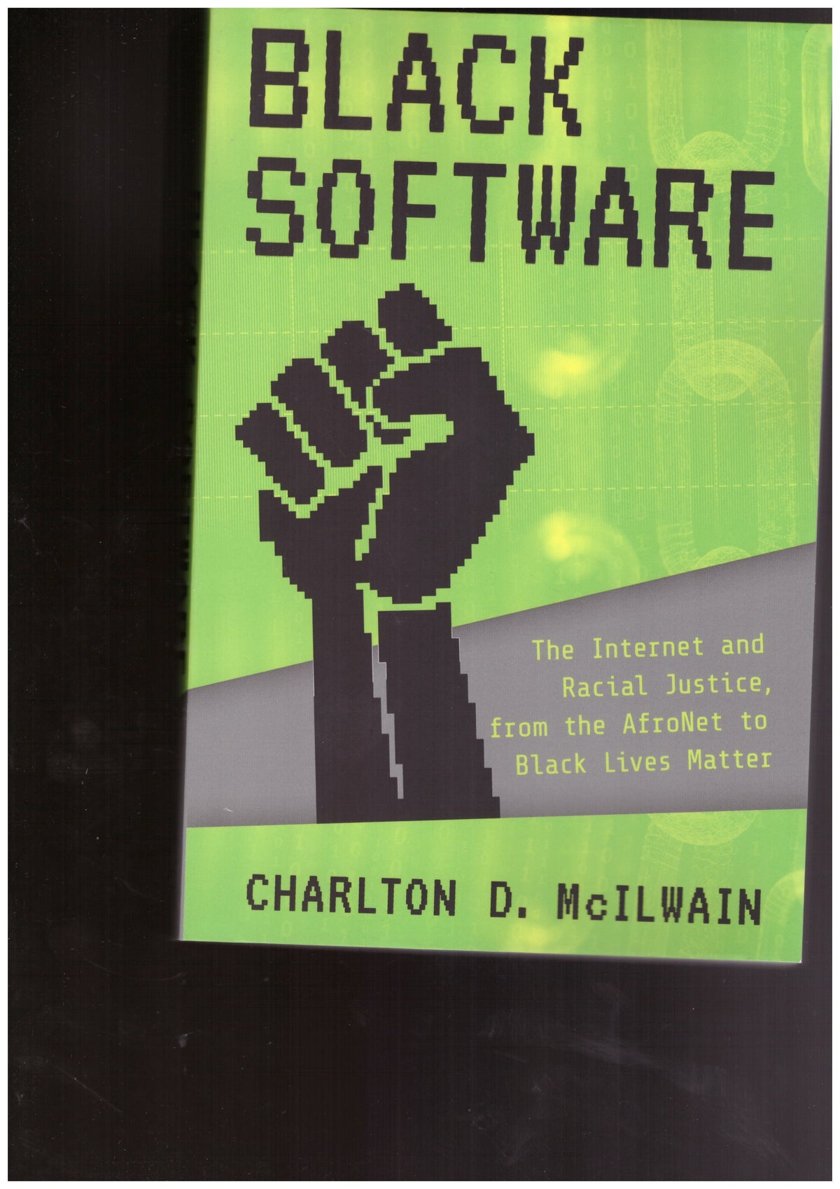Black Software - The Internet and Racial Justice, from the AfroNet to Black Lives Matter