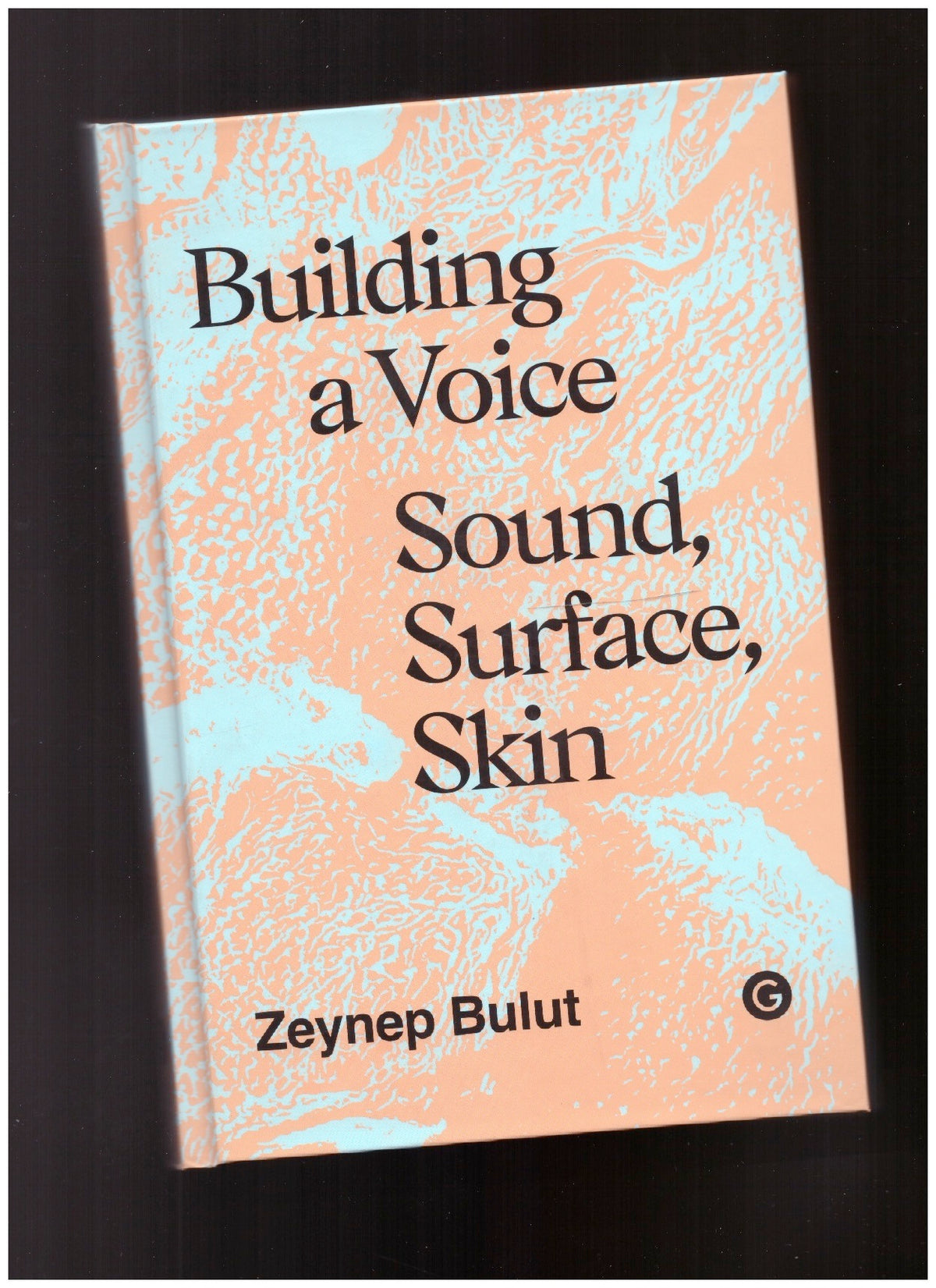 Building a Voice