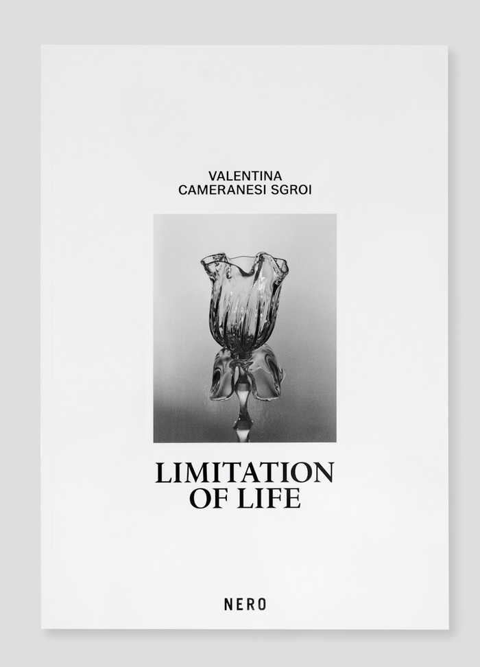 Limitation of Life