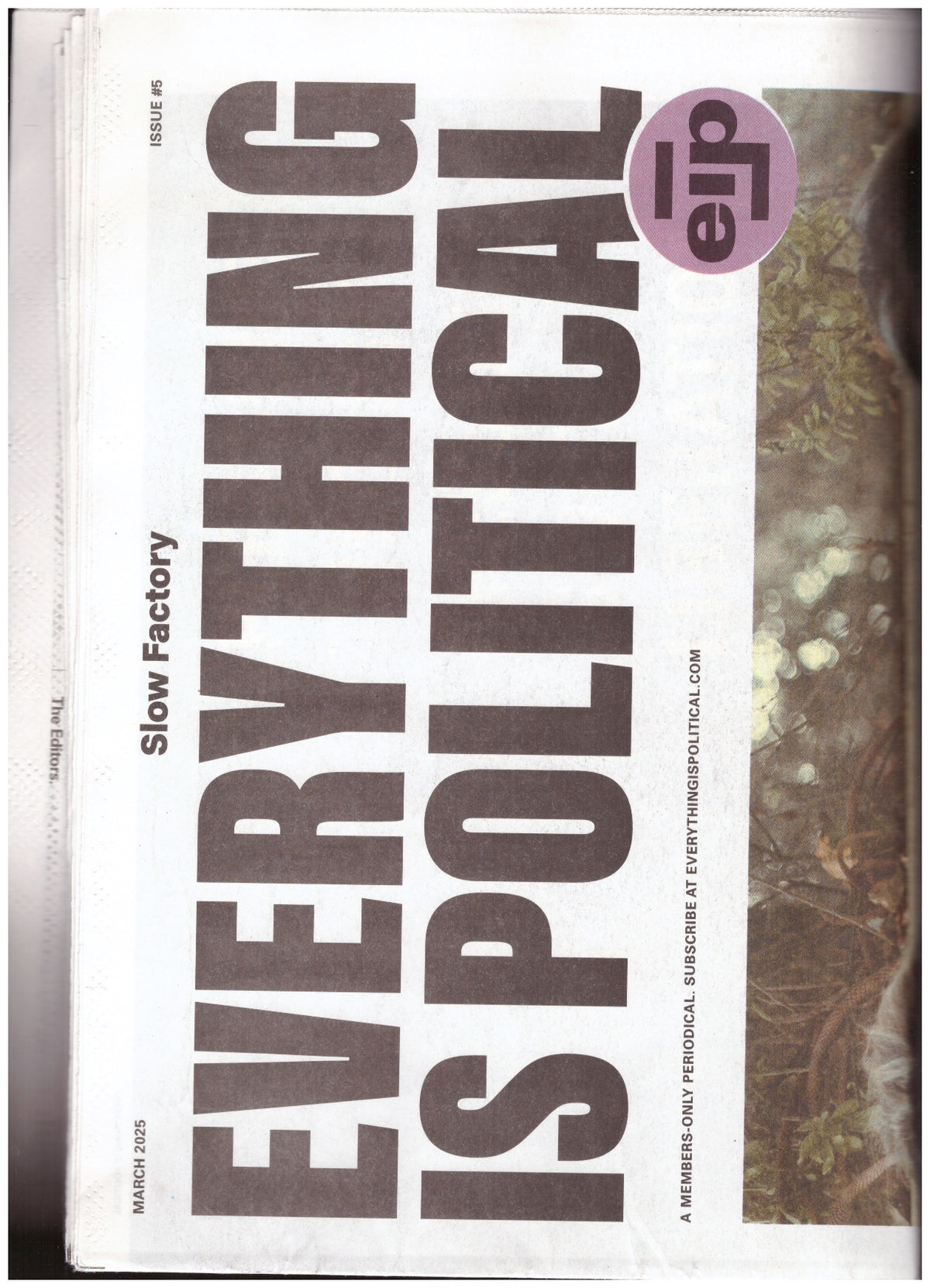 Everything Is Political (EIP) #5