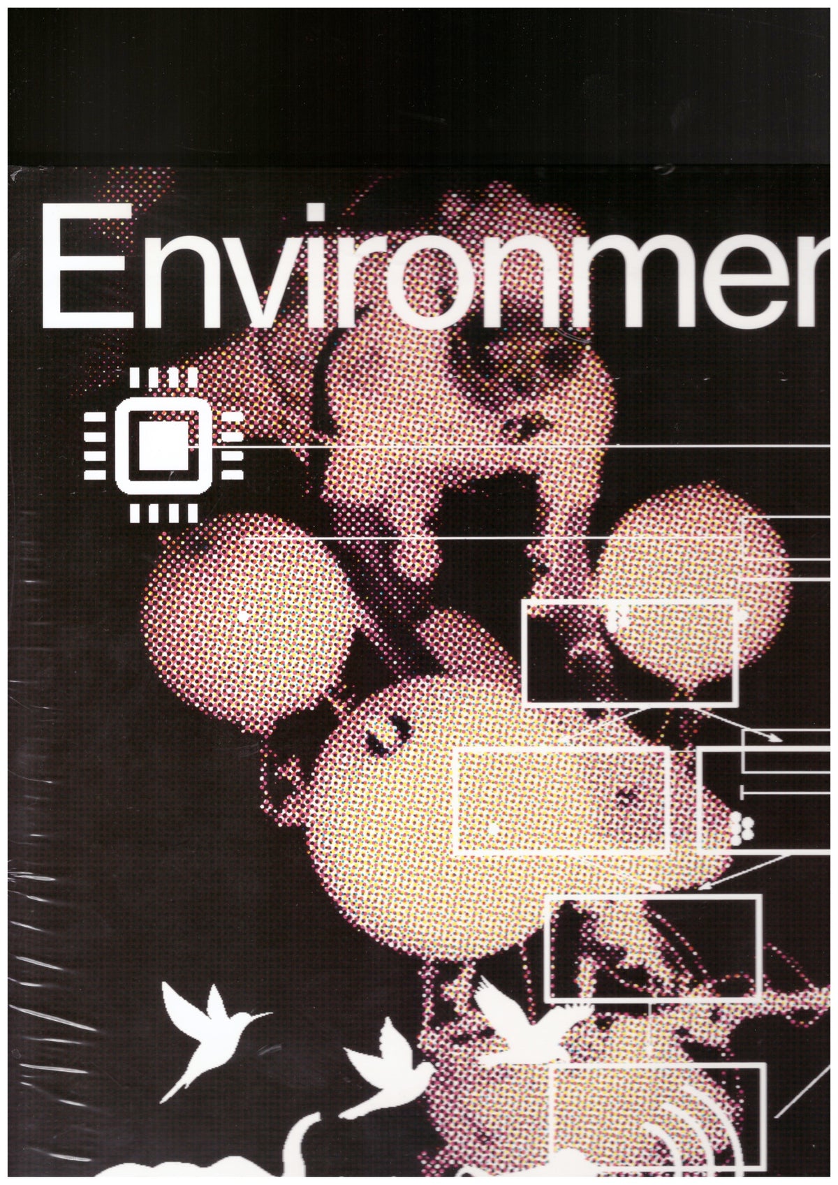 Environment 12