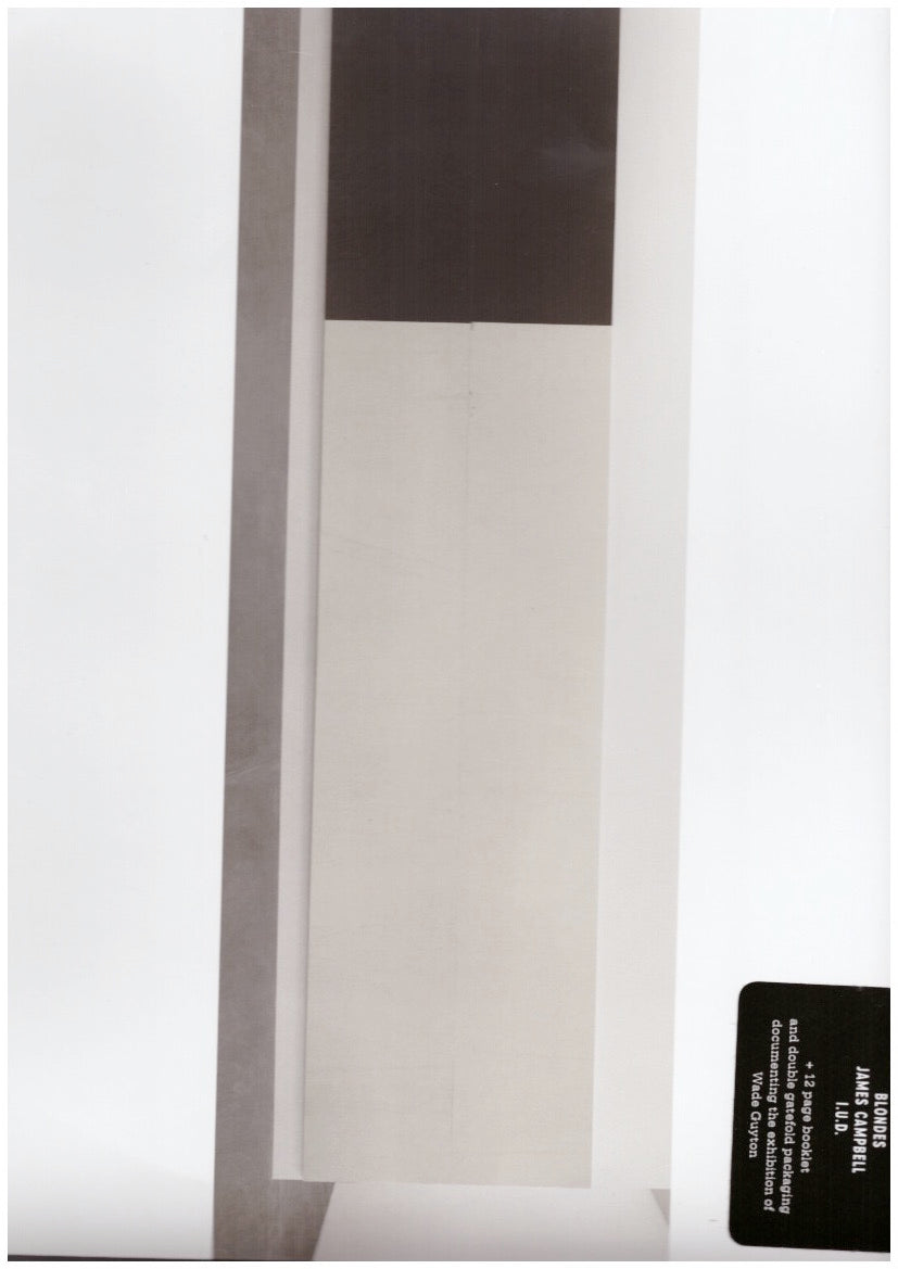 Wade Guyton Kunsthalle Zurich (3 x LP vinyl)