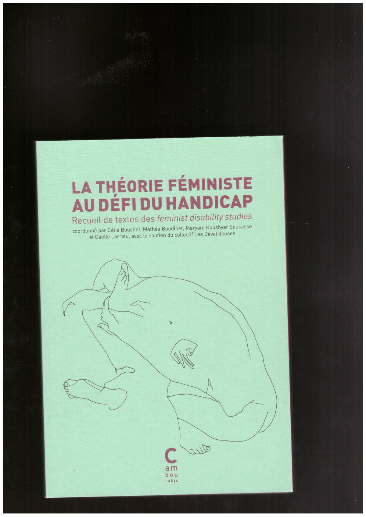 La théorie féministe au défi du handicap