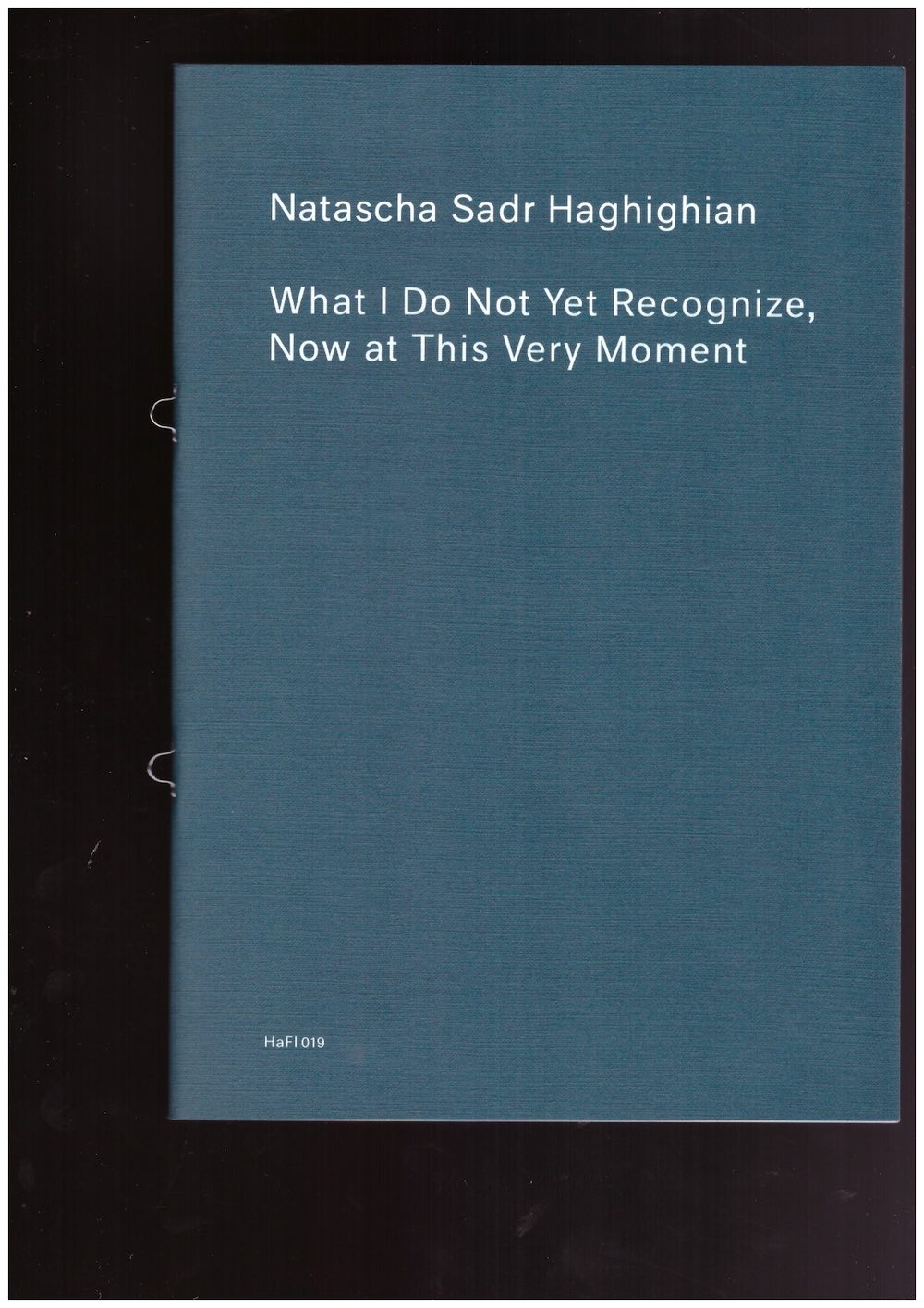 Natascha Sadr Haghighian: Was ich noch nicht erkenne, jetzt in diesem Moment / What I Do Not Recognize Yet, Now at This Very Moment