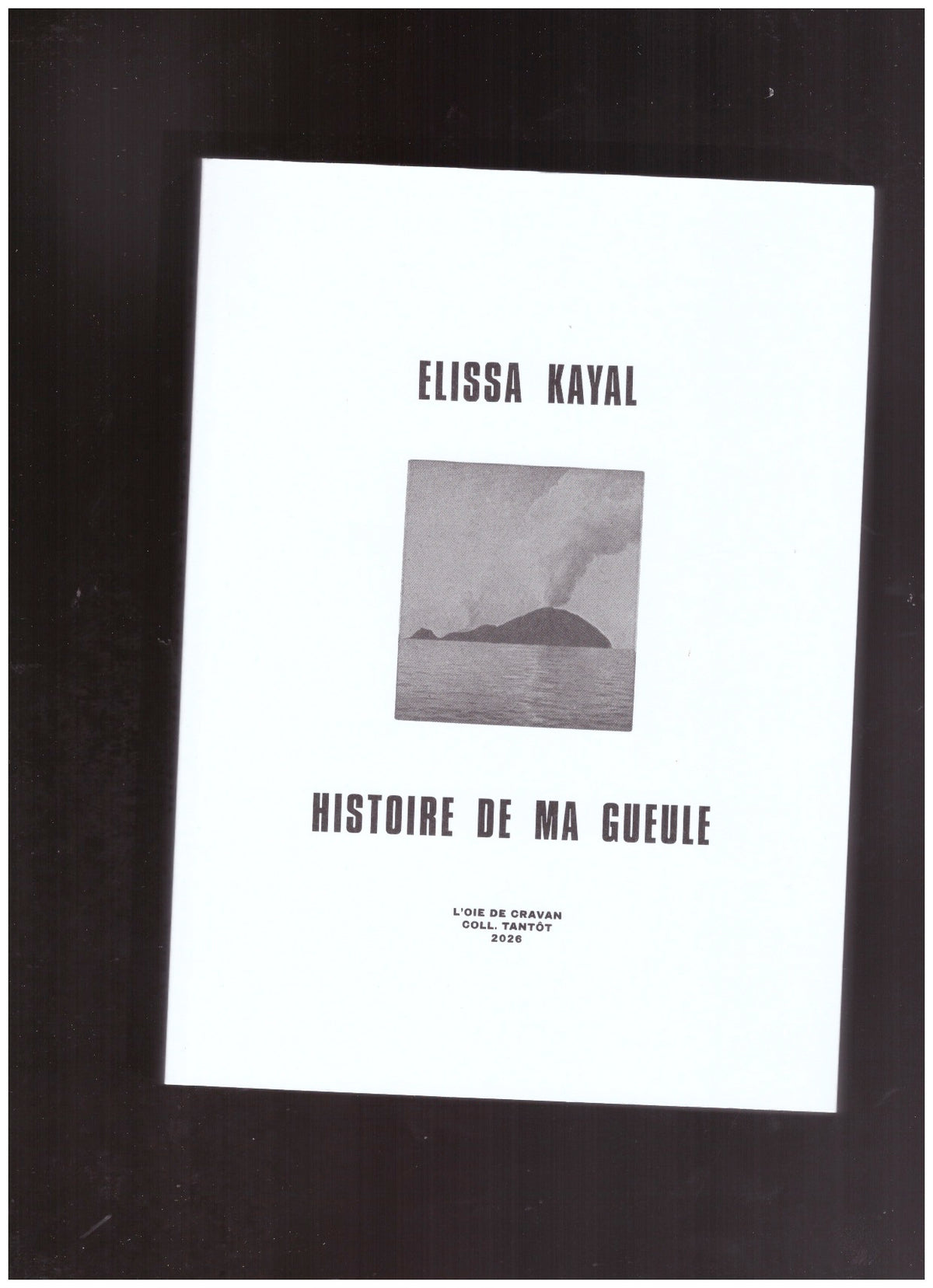 Histoire de ma gueule
