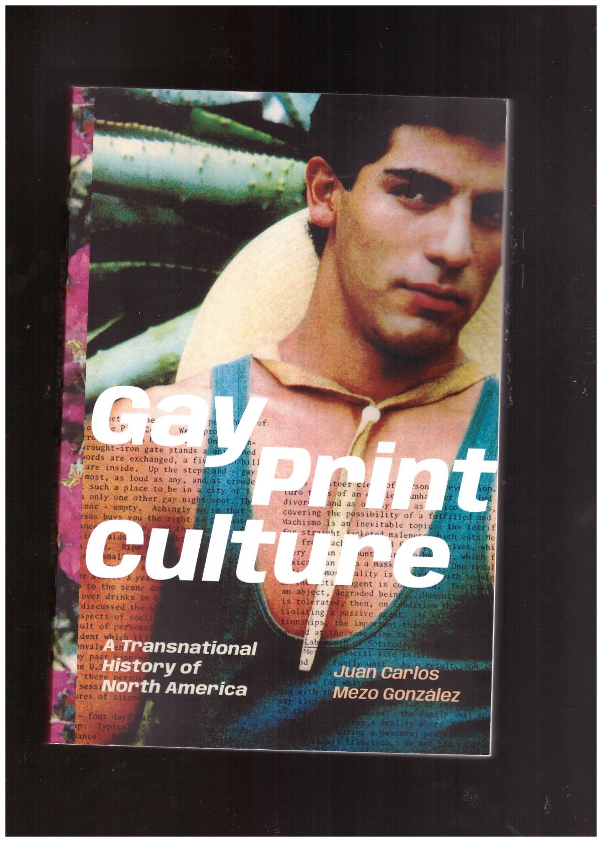 Gay Print Culture. A Transnational History of North America