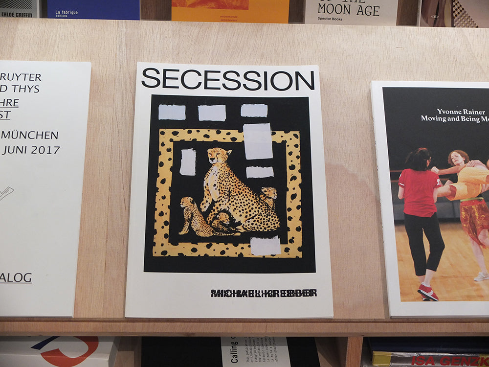 Altered Secession Catalogue – Michael Krebber (Gordon, Kennon)