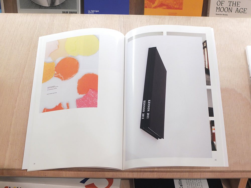 Altered Secession Catalogue – Michael Krebber (Gordon, Kennon)