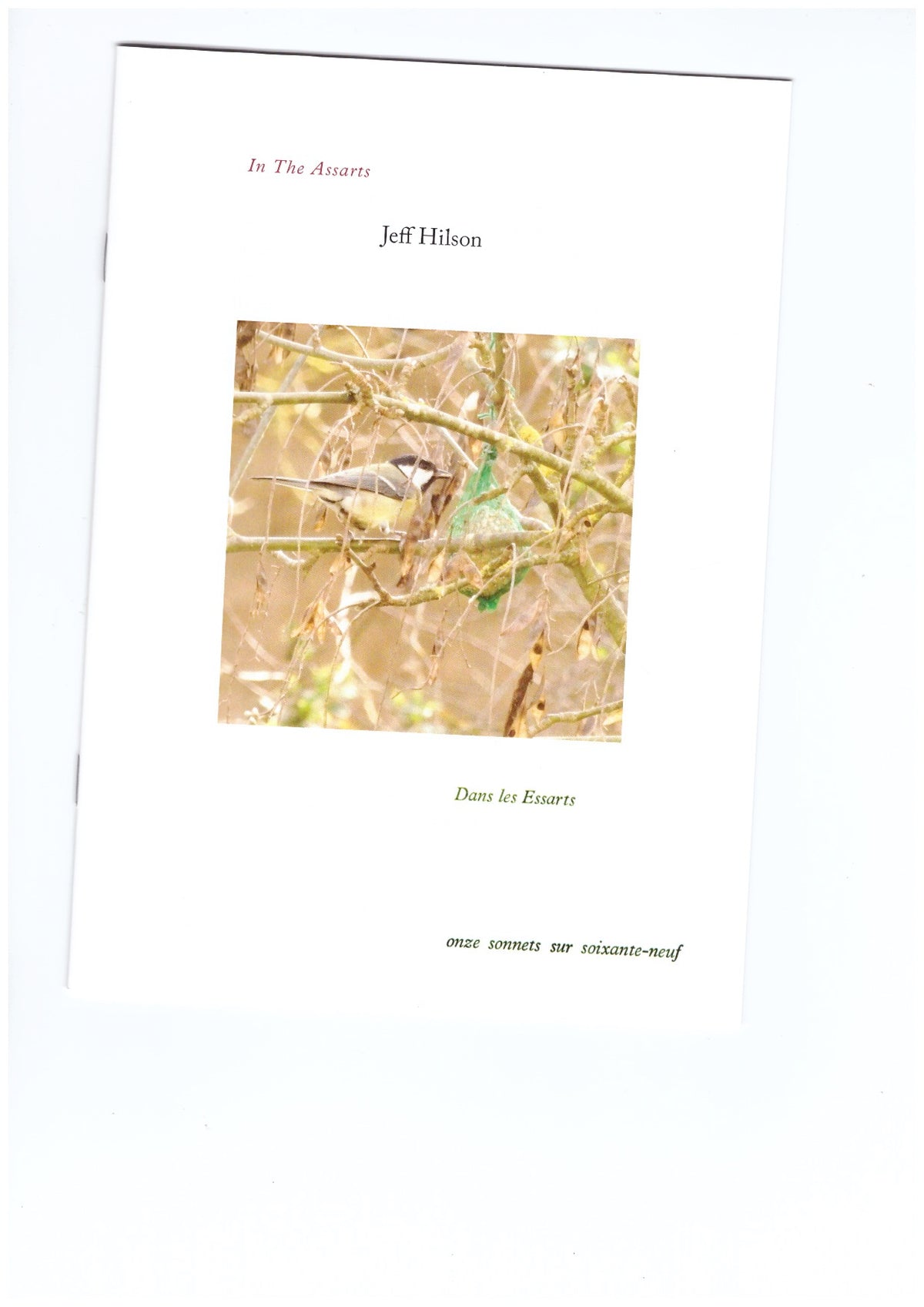 In the Assarts / Dans les Essarts