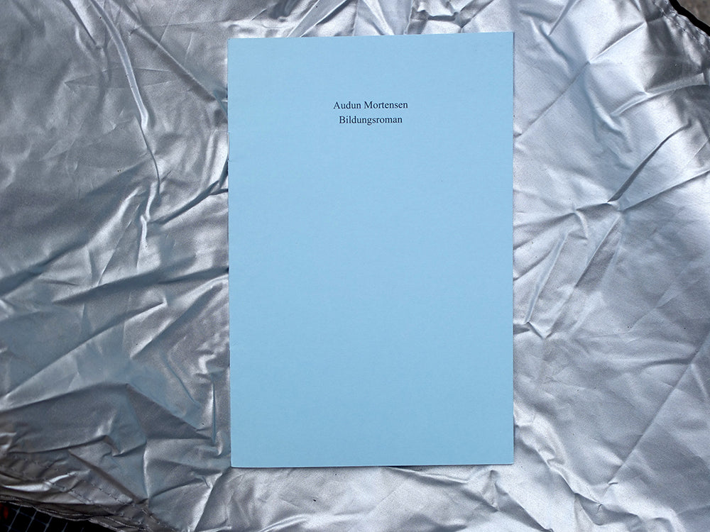Bildungsroman