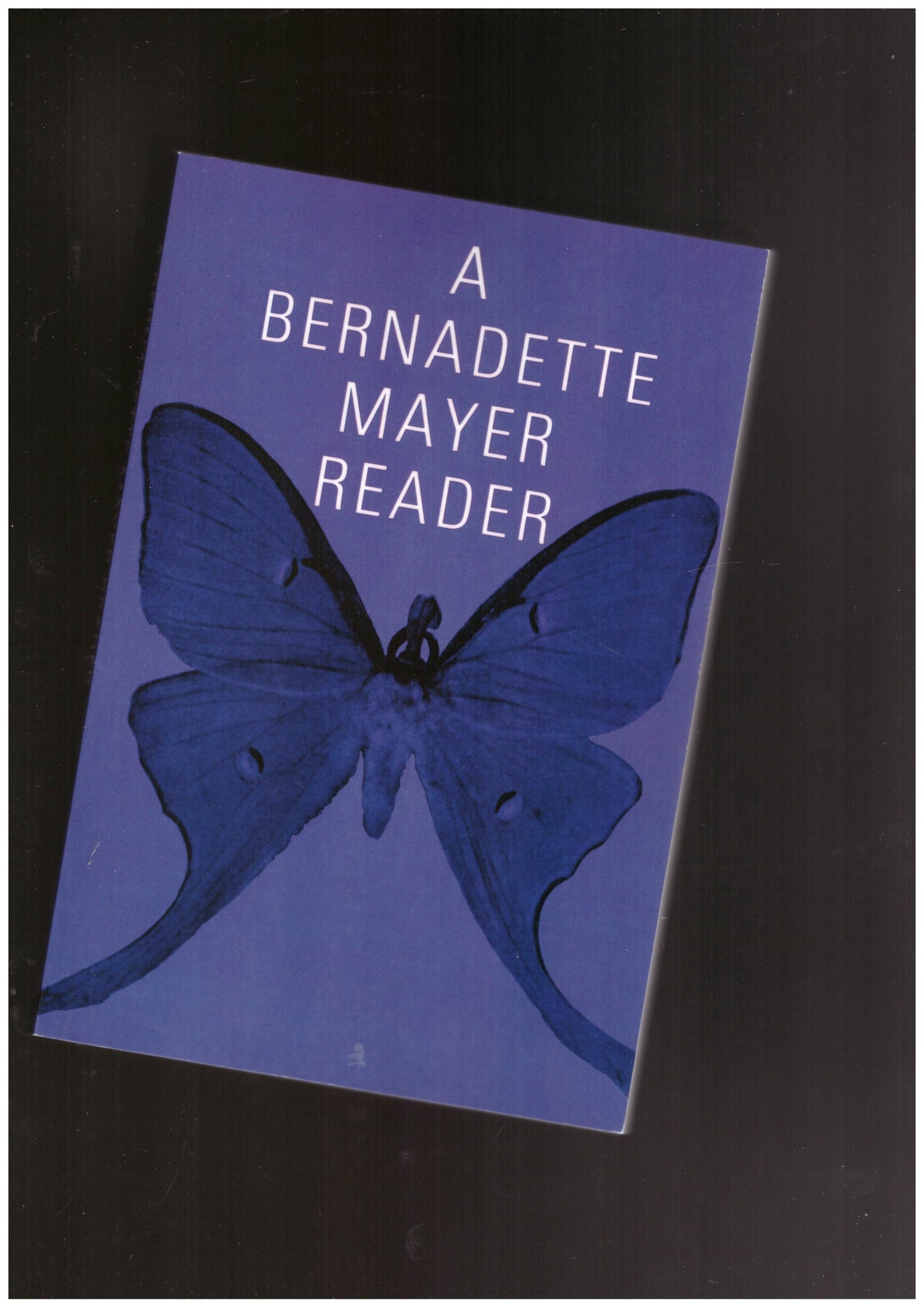 A Bernadette Mayer Reader