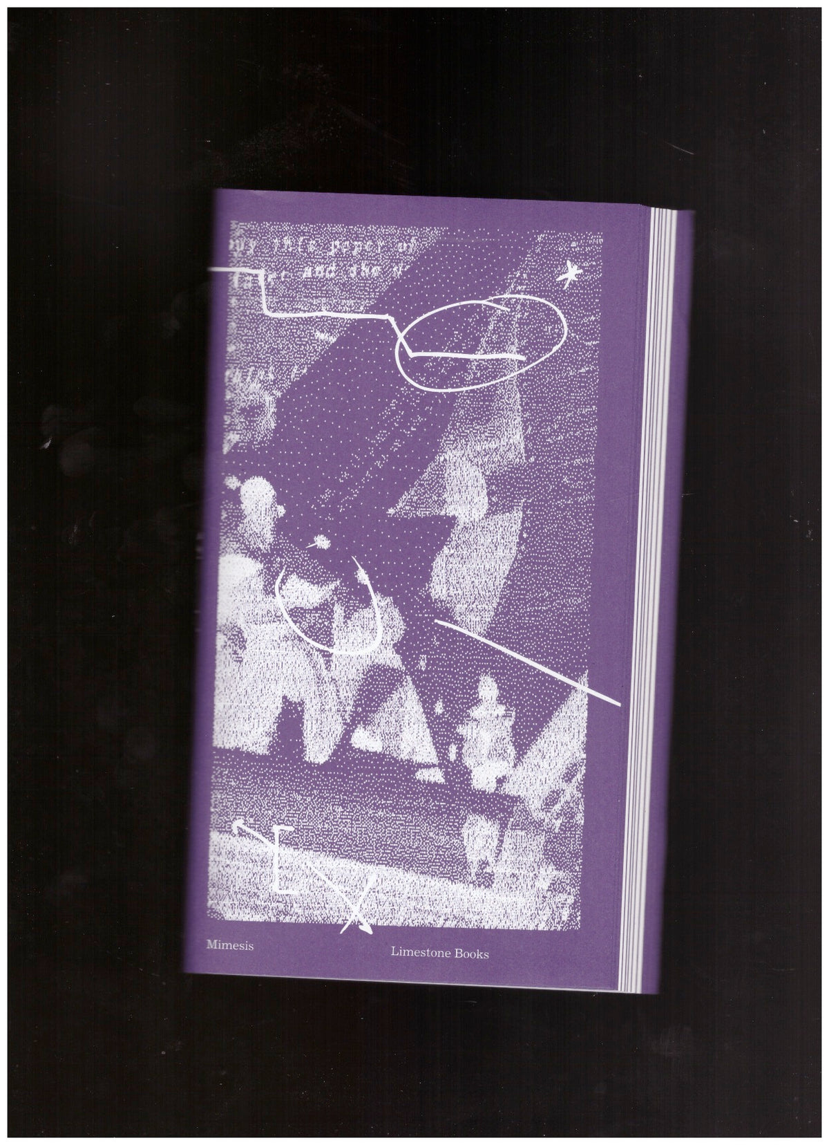 Mimesis: The Non-Standard Poetry Book