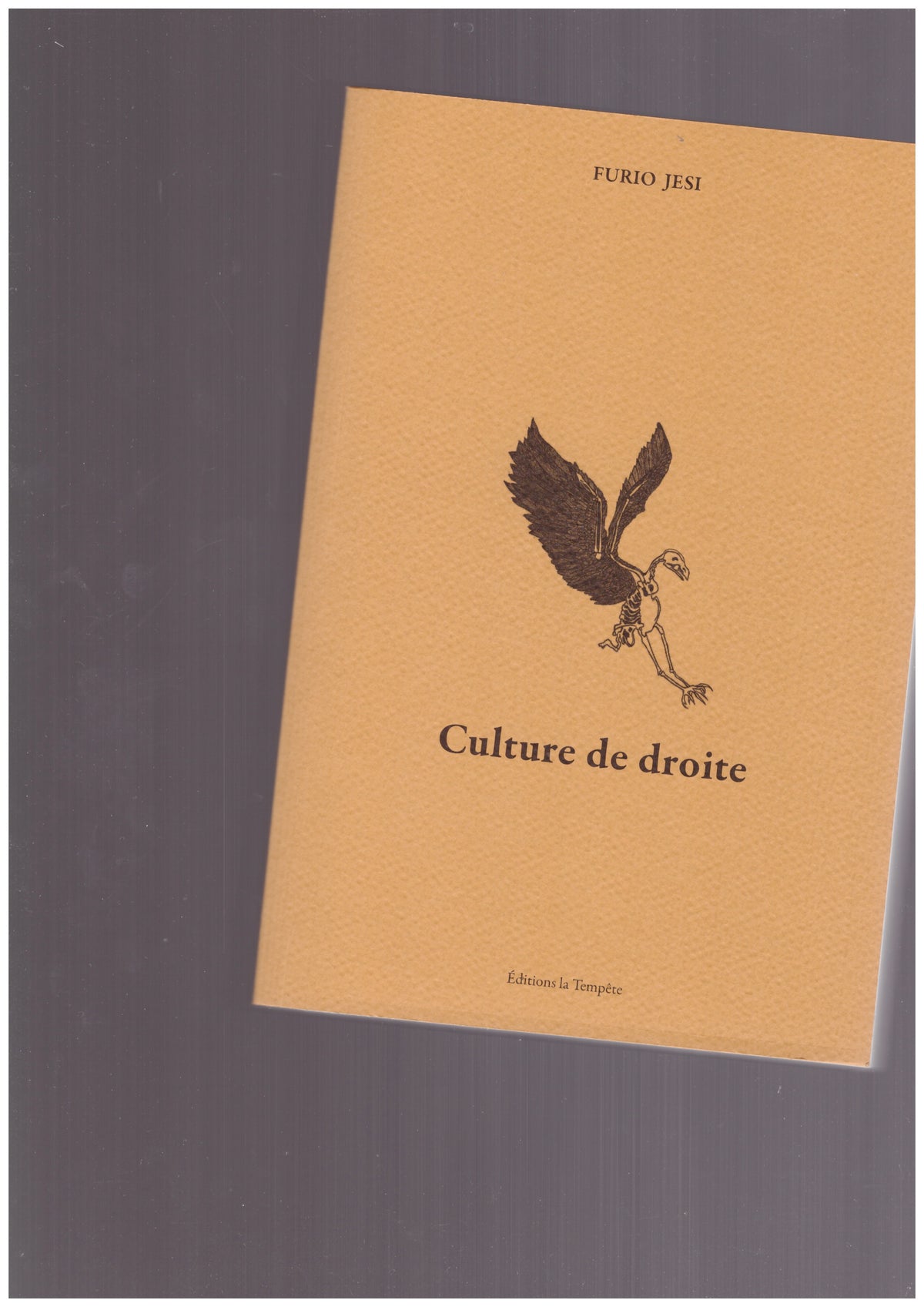Culture de droite