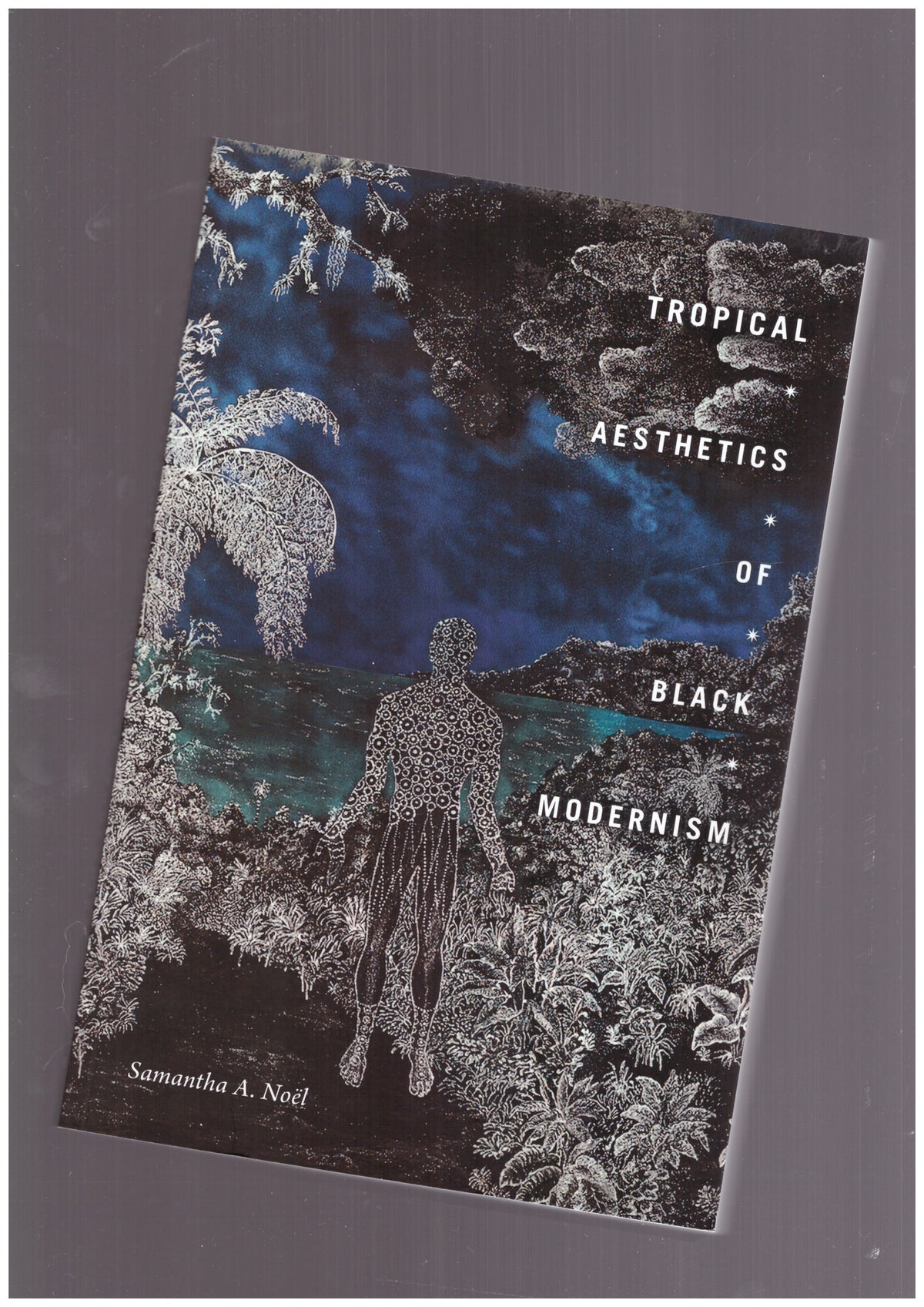 Tropical Aesthetic of black modernism