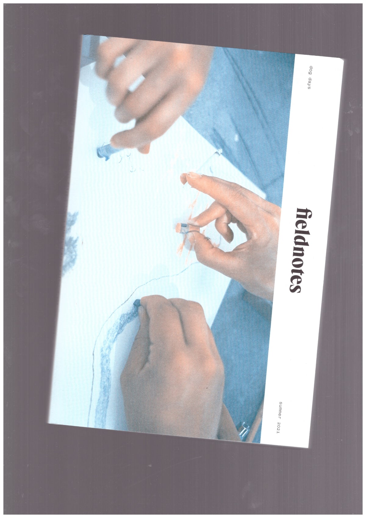 fieldnotes #2 dog days