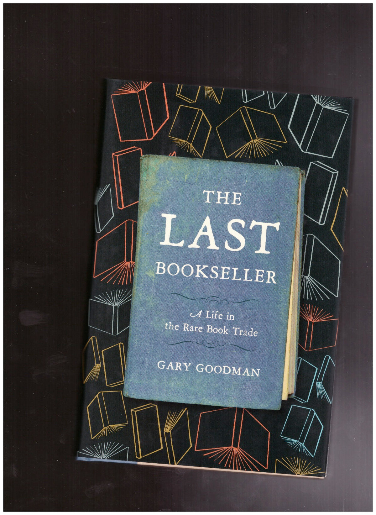 The Last Bookseller