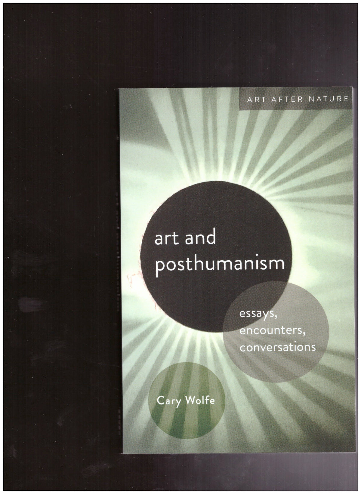 Art and Posthumanism