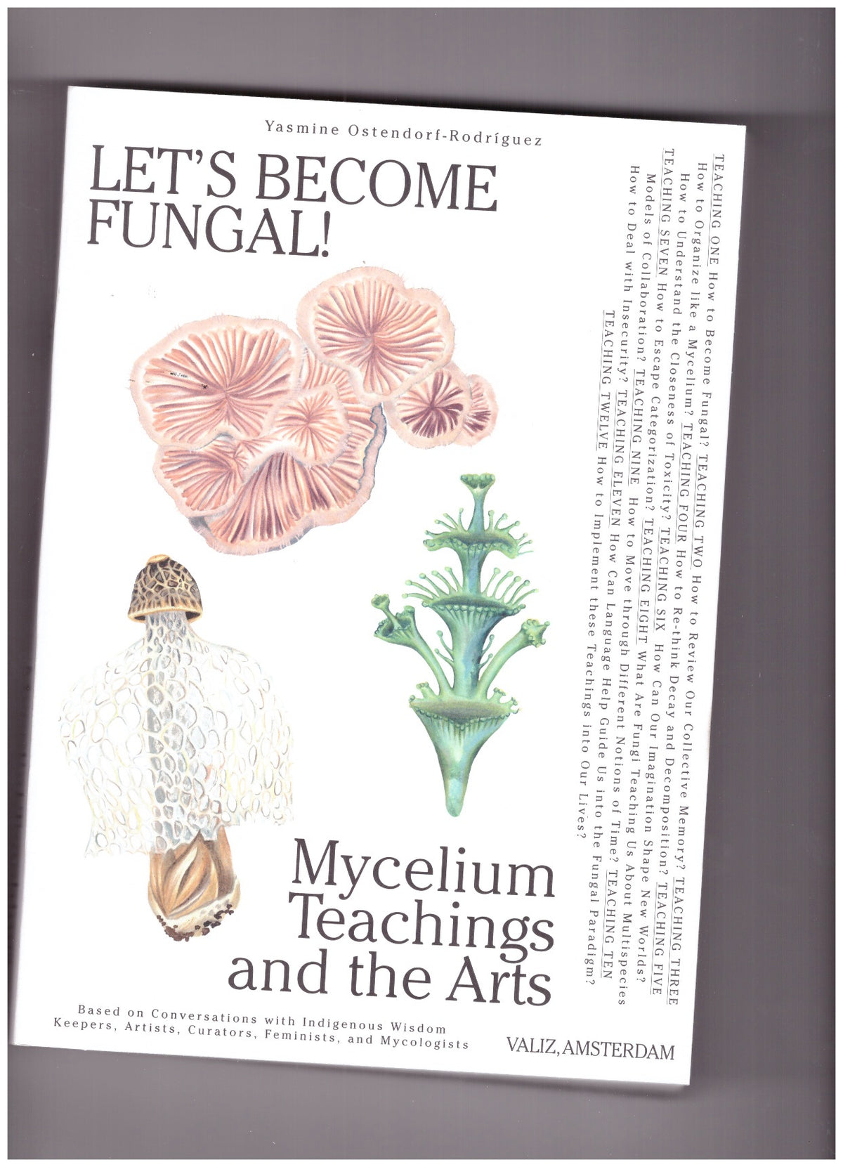 Let’s become fungal!
