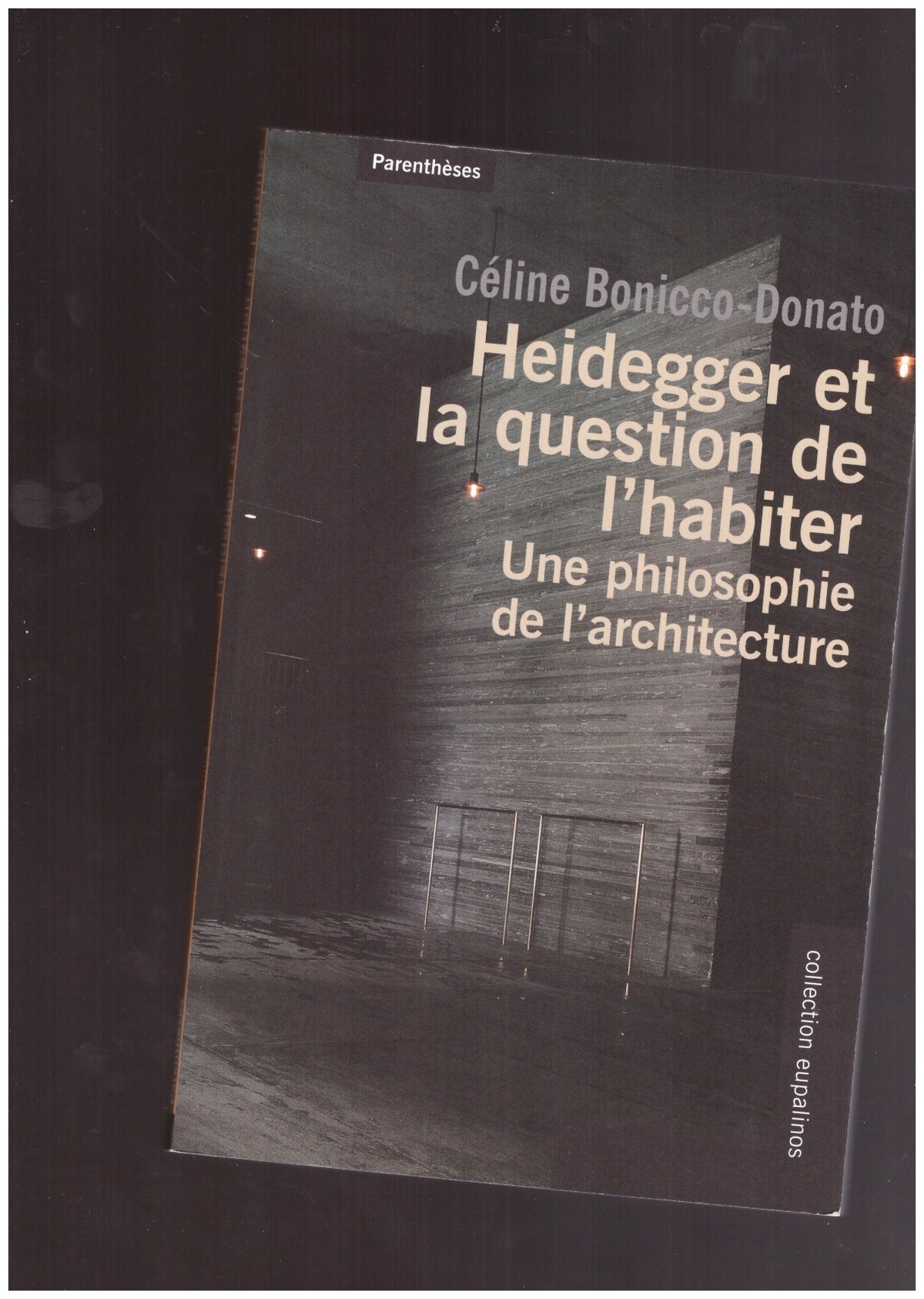 Heidegger et la question de l'habiter
