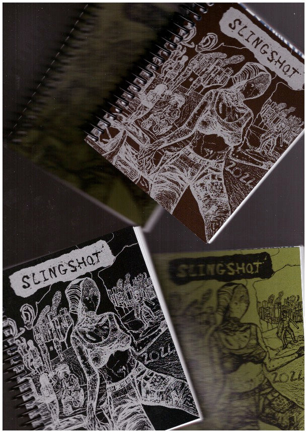 Slingshot Organizer 2024