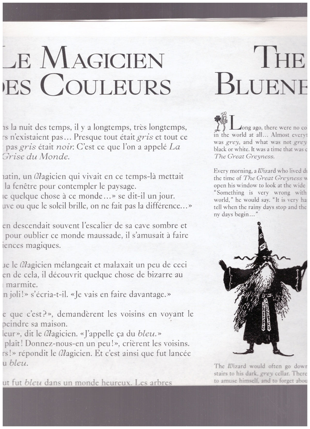Le Magicien des Couleurs