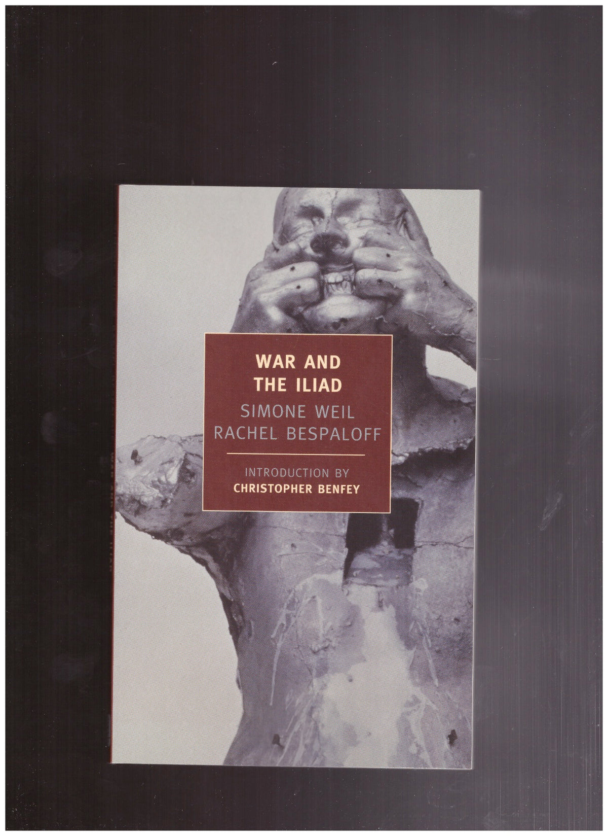 War and the Iliad