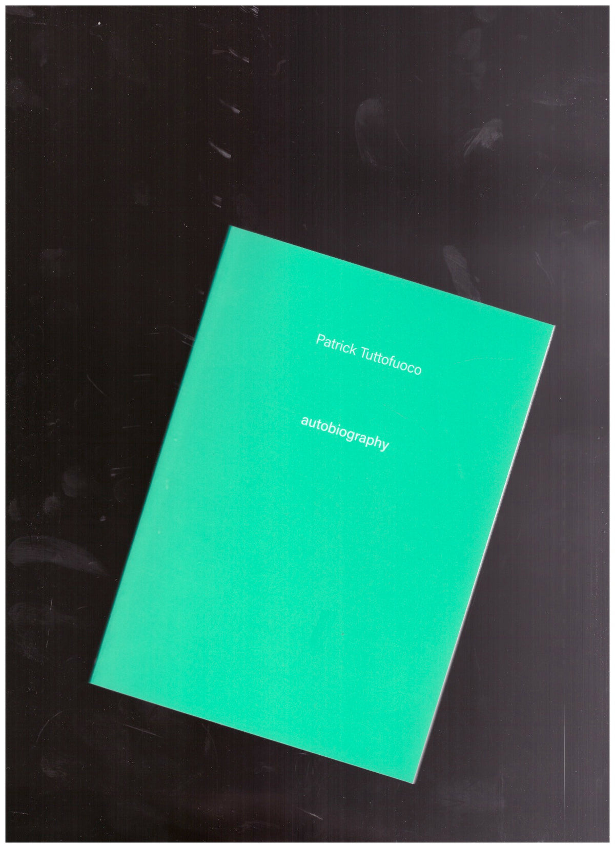 Autobiography #5 : Patrick Tuttofuoco