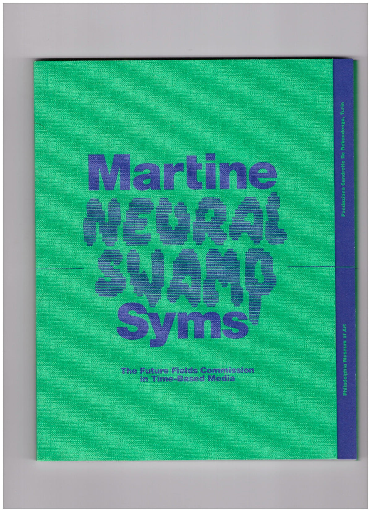 Neural Swamp